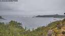./images/calvert/foggy-cove/20261005/foggy-cove20261005_090501M.jpg