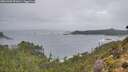 ./images/calvert/foggy-cove/20261005/foggy-cove20261005_091001M.jpg