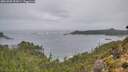 ./images/calvert/foggy-cove/20261005/foggy-cove20261005_092001M.jpg