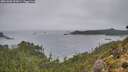 ./images/calvert/foggy-cove/20261005/foggy-cove20261005_093001M.jpg