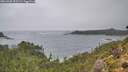 ./images/calvert/foggy-cove/20261005/foggy-cove20261005_095501M.jpg