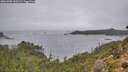 ./images/calvert/foggy-cove/20261005/foggy-cove20261005_100501M.jpg
