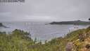 ./images/calvert/foggy-cove/20261005/foggy-cove20261005_101001M.jpg