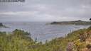./images/calvert/foggy-cove/20261005/foggy-cove20261005_102002M.jpg