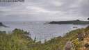 ./images/calvert/foggy-cove/20261005/foggy-cove20261005_103001M.jpg
