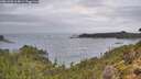 ./images/calvert/foggy-cove/20261005/foggy-cove20261005_104001M.jpg