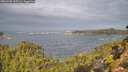 ./images/calvert/foggy-cove/20261005/foggy-cove20261005_105502M.jpg