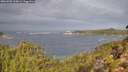./images/calvert/foggy-cove/20261005/foggy-cove20261005_110001M.jpg