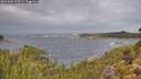 ./images/calvert/foggy-cove/20261005/foggy-cove20261005_110502M.jpg