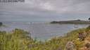 ./images/calvert/foggy-cove/20261005/foggy-cove20261005_111001M.jpg