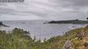 ./images/calvert/foggy-cove/20261005/foggy-cove20261005_114501M.jpg