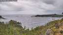 ./images/calvert/foggy-cove/20261005/foggy-cove20261005_115501M.jpg