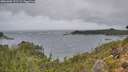 ./images/calvert/foggy-cove/20261005/foggy-cove20261005_122501M.jpg