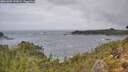 ./images/calvert/foggy-cove/20261005/foggy-cove20261005_123002M.jpg