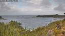 ./images/calvert/foggy-cove/20261005/foggy-cove20261005_125001M.jpg