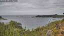 ./images/calvert/foggy-cove/20261005/foggy-cove20261005_134001M.jpg