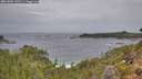 ./images/calvert/foggy-cove/20261005/foggy-cove20261005_145501M.jpg