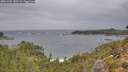 ./images/calvert/foggy-cove/20261005/foggy-cove20261005_155501M.jpg