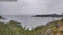 ./images/calvert/foggy-cove/20261005/foggy-cove20261005_163001M.jpg