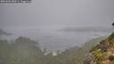 ./images/calvert/foggy-cove/20261006/foggy-cove20261006_080501M.jpg