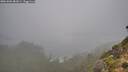 ./images/calvert/foggy-cove/20261006/foggy-cove20261006_081001M.jpg
