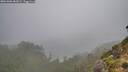 ./images/calvert/foggy-cove/20261006/foggy-cove20261006_082002M.jpg