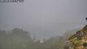 ./images/calvert/foggy-cove/20261006/foggy-cove20261006_082501M.jpg