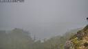 ./images/calvert/foggy-cove/20261006/foggy-cove20261006_084001M.jpg