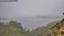 ./images/calvert/foggy-cove/20261006/foggy-cove20261006_085501M.jpg