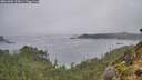 ./images/calvert/foggy-cove/20261006/foggy-cove20261006_102001M.jpg