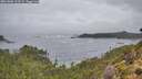 ./images/calvert/foggy-cove/20261006/foggy-cove20261006_103501M.jpg