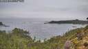 ./images/calvert/foggy-cove/20261006/foggy-cove20261006_105501M.jpg