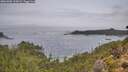 ./images/calvert/foggy-cove/20261006/foggy-cove20261006_110001M.jpg