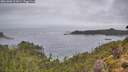 ./images/calvert/foggy-cove/20261006/foggy-cove20261006_111001M.jpg