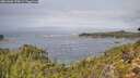 ./images/calvert/foggy-cove/20261006/foggy-cove20261006_120001M.jpg