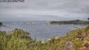 ./images/calvert/foggy-cove/20261006/foggy-cove20261006_124501M.jpg