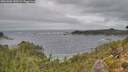 ./images/calvert/foggy-cove/20261006/foggy-cove20261006_130502M.jpg