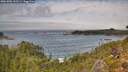 ./images/calvert/foggy-cove/20261006/foggy-cove20261006_135501M.jpg