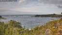 ./images/calvert/foggy-cove/20261006/foggy-cove20261006_142501M.jpg