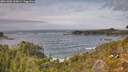 ./images/calvert/foggy-cove/20261006/foggy-cove20261006_143001M.jpg