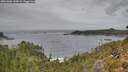 ./images/calvert/foggy-cove/20261006/foggy-cove20261006_144501M.jpg