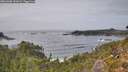 ./images/calvert/foggy-cove/20261006/foggy-cove20261006_152001M.jpg