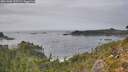 ./images/calvert/foggy-cove/20261006/foggy-cove20261006_155501M.jpg