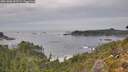./images/calvert/foggy-cove/20261006/foggy-cove20261006_162501M.jpg