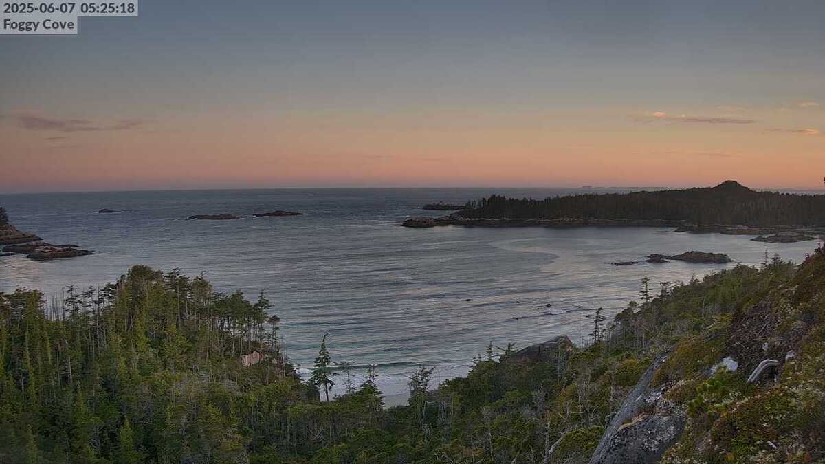 Foggy Cove
