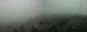 ./images/calvert/hecate/20160624/hecate20160624_085952.jpg