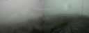 ./images/calvert/hecate/20190601/hecate20190601_092447.jpg