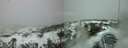 ./images/calvert/hecate/20200107/hecate20200107_083517.jpg