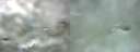 ./images/calvert/hecate/20200202/hecate20200202_095510.jpg