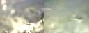 ./images/calvert/hecate/20200202/hecate20200202_100012.jpg